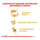 Royal Canin Chihuahua Adult Вологий корм для дорослих собак породи чихуахуа (паштет) 85г 12шт