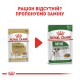 Royal Canin Chihuahua Adult Вологий корм для дорослих собак породи чихуахуа (паштет) 85г 12шт