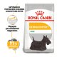 Royal Canin Dermacomfort Mini Сухий корм для дорослих собак малих порід, схильних до шкірних подразнень і свербіння 3кг