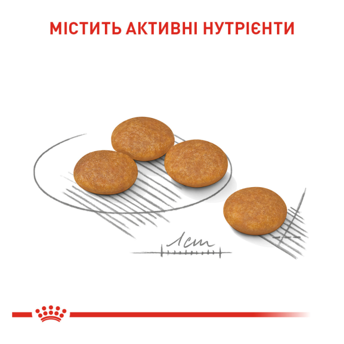 Royal Canin Dermacomfort Mini Сухий корм для дорослих собак малих порід, схильних до шкірних подразнень і свербіння 3кг