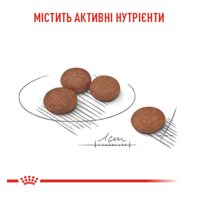 Royal Canin Digestive Care Mini Сухий корм для дорослих собак малих порід з чутливим травленням 3кг
