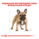 Royal Canin French Bulldog Adult Сухий корм для дорослих собак породи Французький бульдог 3кг