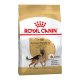 Royal Canin German Shepherd Adult Сухий корм для дорослих собак породи Німецька вівчарка 11кг