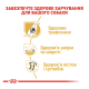 Royal Canin German Shepherd Adult Сухий корм для дорослих собак породи Німецька вівчарка 11кг