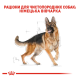 Royal Canin German Shepherd Adult Сухий корм для дорослих собак породи Німецька вівчарка 11кг
