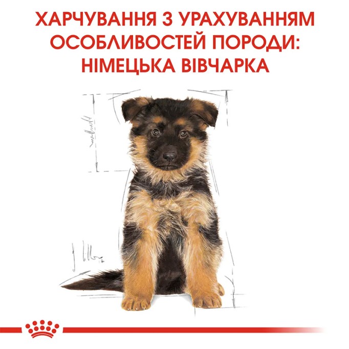 Royal Canin German Shepherd Puppy Сухий корм для цуценят породи Німецька вівчарка 3 кг