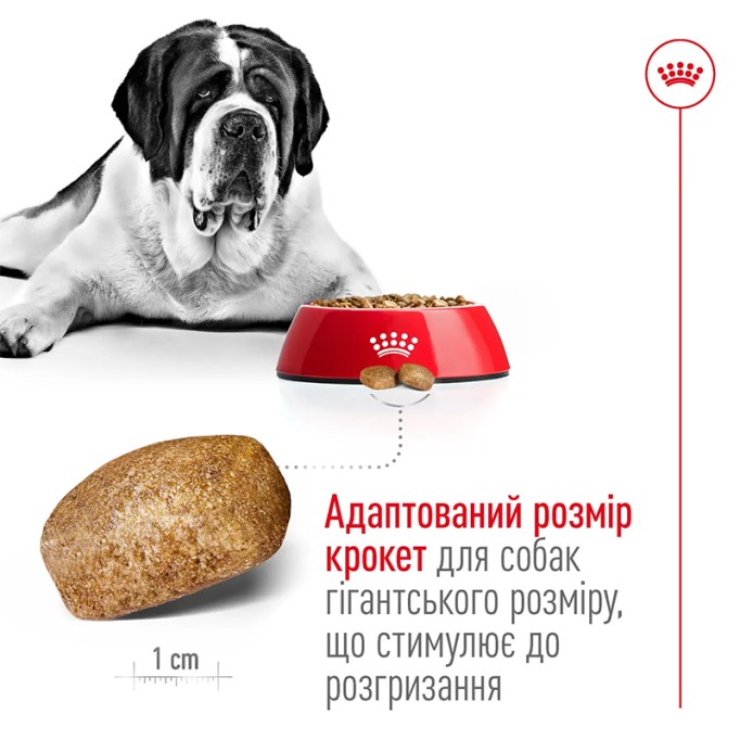 Royal Canin Giant Adult Сухий корм для дорослих собак гігантських порід 15 кг