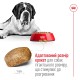 Royal Canin Giant Adult Сухий корм для дорослих собак гігантських порід 15кг