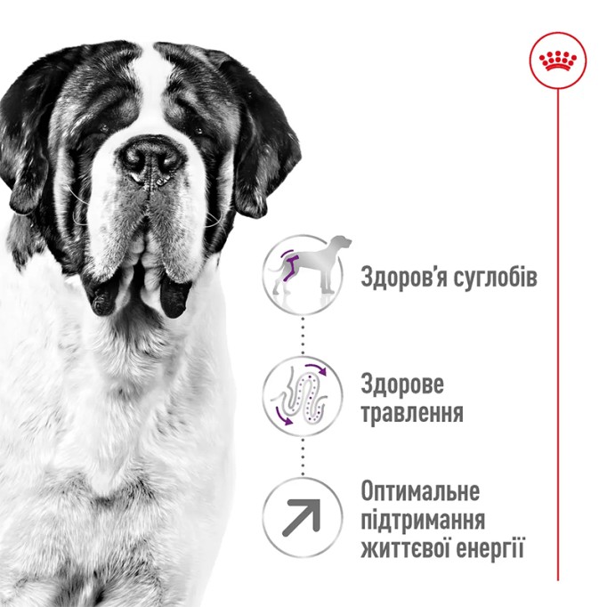 Royal Canin Giant Adult Сухий корм для дорослих собак гігантських порід 15 кг