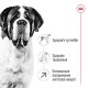 Royal Canin Giant Adult Сухий корм для дорослих собак гігантських порід 15 кг