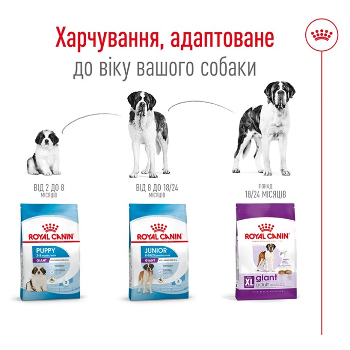 Royal Canin Giant Adult Сухий корм для дорослих собак гігантських порід 15кг
