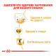 Royal Canin Golden Retriever Adult Сухий корм для дорослих собак породи Голден ретривер 12кг