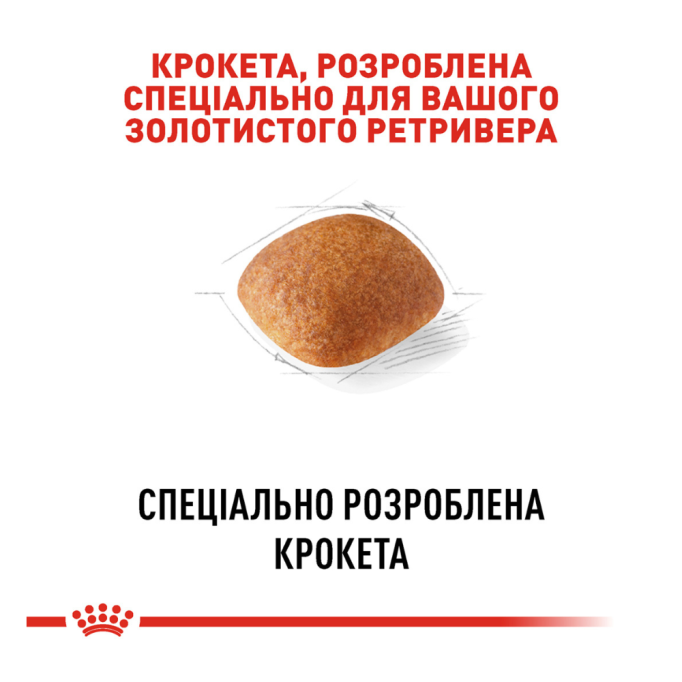 Royal Canin Golden Retriever Adult Сухий корм для дорослих собак породи Голден ретривер 12кг