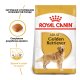 Royal Canin Golden Retriever Adult Сухий корм для дорослих собак породи Голден ретривер 12кг