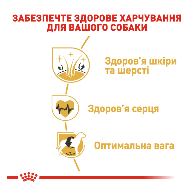Royal Canin Golden Retriever Adult Сухий корм для дорослих собак породи Голден ретривер 12кг