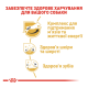 Royal Canin Jack Russell Terrier Adult Сухий корм для дорослих собак породи Джек-рассел-тер'єр 1,5кг