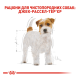 Royal Canin Jack Russell Terrier Adult Сухий корм для дорослих собак породи Джек-рассел-тер'єр 1,5кг