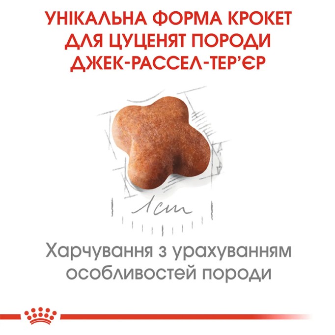 Royal Canin Jack Russell Terrier Puppy Сухий корм для цуценят породи Джек-Рассел-тер'єр 1.5 кг