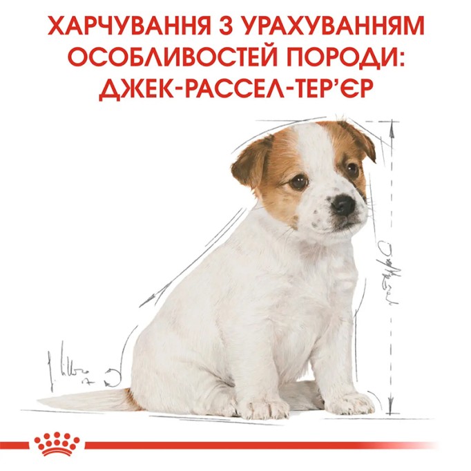 Royal Canin Jack Russell Terrier Puppy Сухий корм для цуценят породи Джек-Рассел-тер'єр 1.5 кг