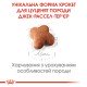 Royal Canin Jack Russell Terrier Puppy Сухий корм для цуценят породи Джек-Рассел-тер'єр 1.5 кг