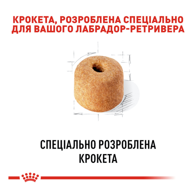Royal Canin Labrador Retriever Adult Сухий корм для дорослих собак породи Лабрадор-ретрівер (від 15 місяців) 12кг