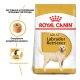 Royal Canin Labrador Retriever Adult Сухий корм для дорослих собак породи Лабрадор-ретрівер (від 15 місяців) 12кг