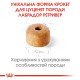 Royal Canin Labrador Retriever Puppy Сухий корм для цуценят породи Лабрадор-ретривер 12 кг