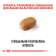 Royal Canin Maltese Adult Сухий корм для дорослих собак породи Мальтійська болонка 500г