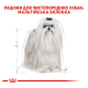 Royal Canin Maltese Adult Сухий корм для дорослих собак породи Мальтійська болонка 500г