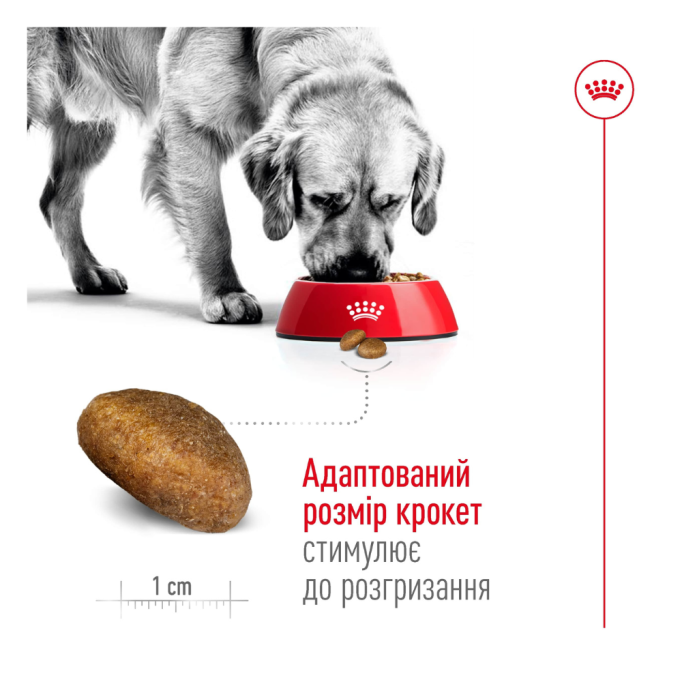 Royal Canin Maxi Adult 5+ Сухий корм для зрілих собак великих порід (від 5 до 8 років) 15кг