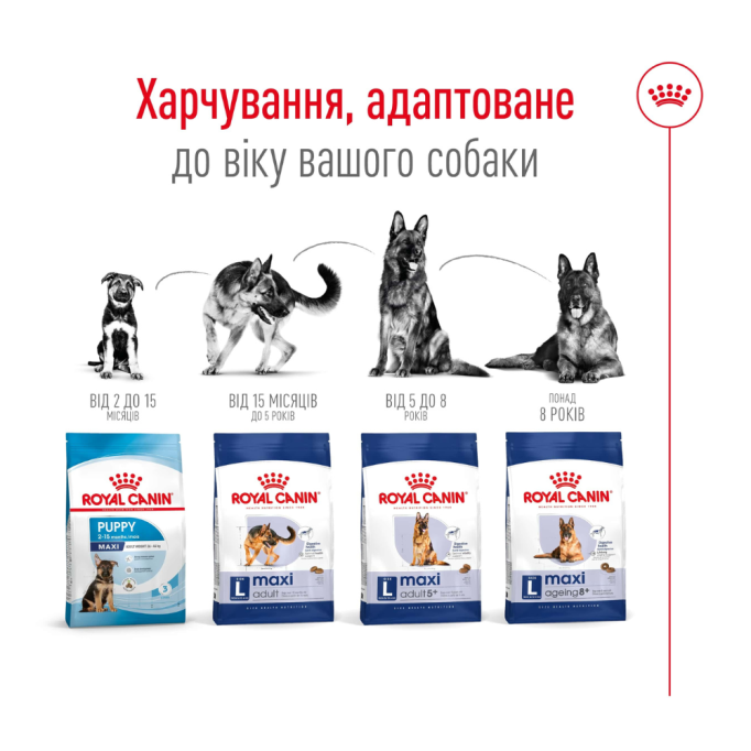 Royal Canin Maxi Adult 5+ Сухий корм для зрілих собак великих порід (від 5 до 8 років) 15кг