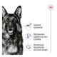 Royal Canin Maxi Adult 5+ Сухий корм для зрілих собак великих порід (від 5 до 8 років) 15кг