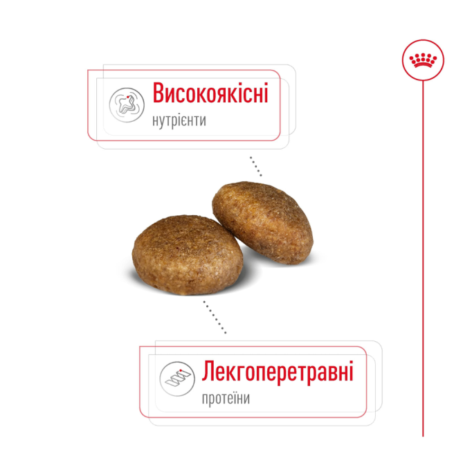 Royal Canin Maxi Ageing 8+ Сухий корм для зрілих собак великих порід (від 8 років) 15кг