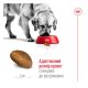 Royal Canin Maxi Ageing 8+ Сухий корм для зрілих собак великих порід (від 8 років) 15кг