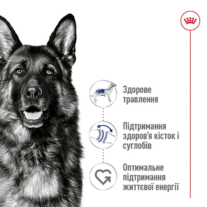 Royal Canin Maxi Adult Сухий корм для дорослих собак великих порід 4 кг