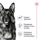 Royal Canin Maxi Adult Сухий корм для дорослих собак великих порід 4 кг