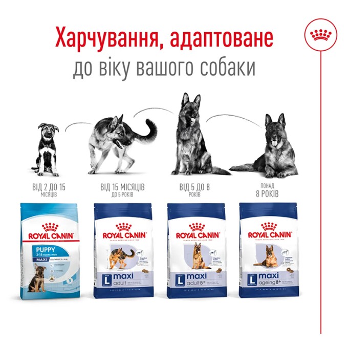 Royal Canin Maxi Adult Сухий корм для дорослих собак великих порід 4 кг