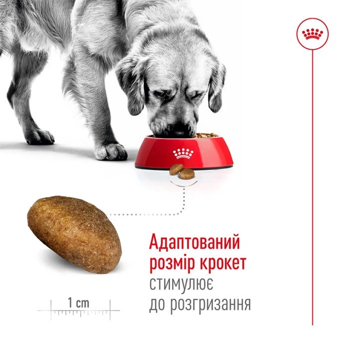 Royal Canin Maxi Adult Сухий корм для дорослих собак великих порід 15 кг