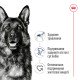 Royal Canin Maxi Adult Сухий корм для дорослих собак великих порід 15 кг