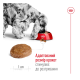Royal Canin Medium Adult 7+ Сухий корм для зрілих собак середніх порід (від 7 років) 15кг