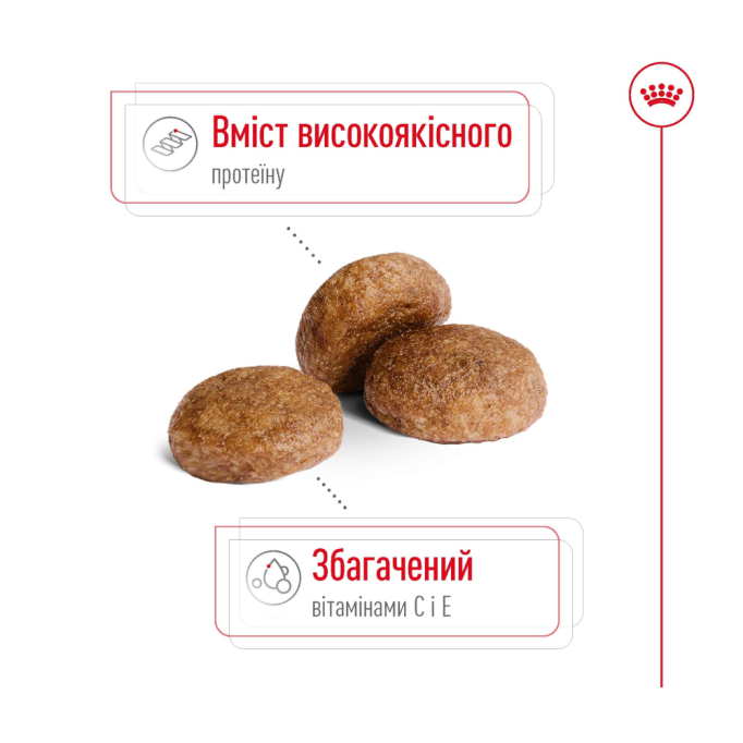 Royal Canin Medium Adult 7+ Сухий корм для зрілих собак середніх порід (від 7 років) 4кг
