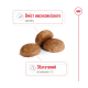 Royal Canin Medium Adult 7+ Сухий корм для зрілих собак середніх порід (від 7 років) 15кг