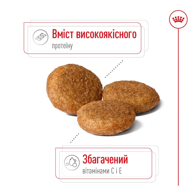 Royal Canin Medium Adult Сухий корм для дорослих собак середніх порід 4 кг