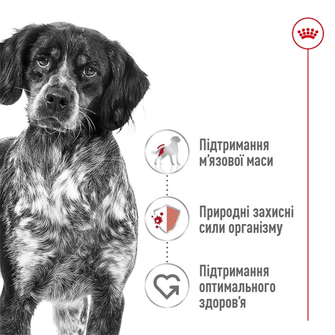 Royal Canin Medium Adult Сухий корм для дорослих собак середніх порід 4 кг