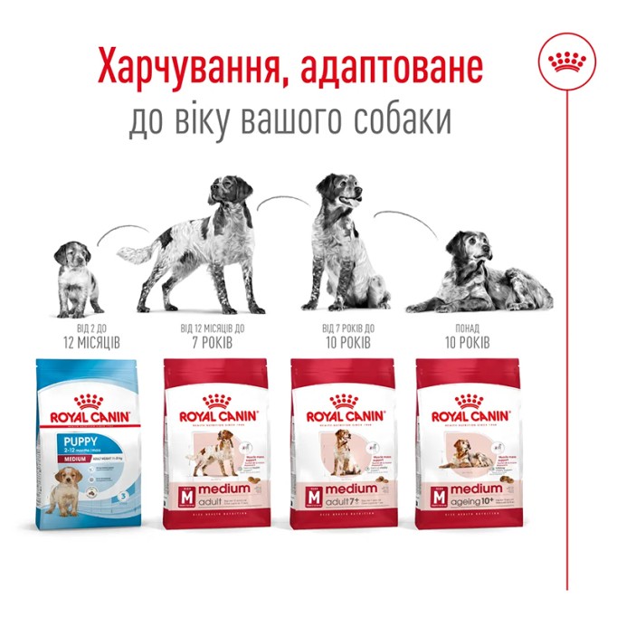 Royal Canin Medium Adult Сухий корм для дорослих собак середніх порід 15кг