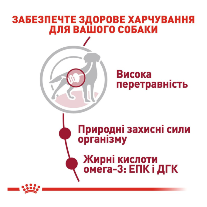 Royal Canin Medium Adult Вологий корм для дорослих собак середніх порід (в соусі) 140г 10шт