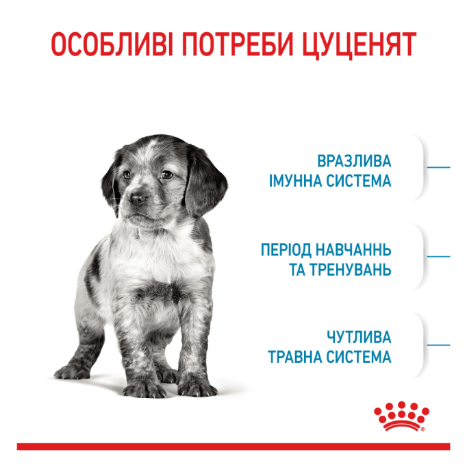 Royal Canin Medium Puppy Вологий корм для цуценят середніх порід (в соусі) 140г 10шт