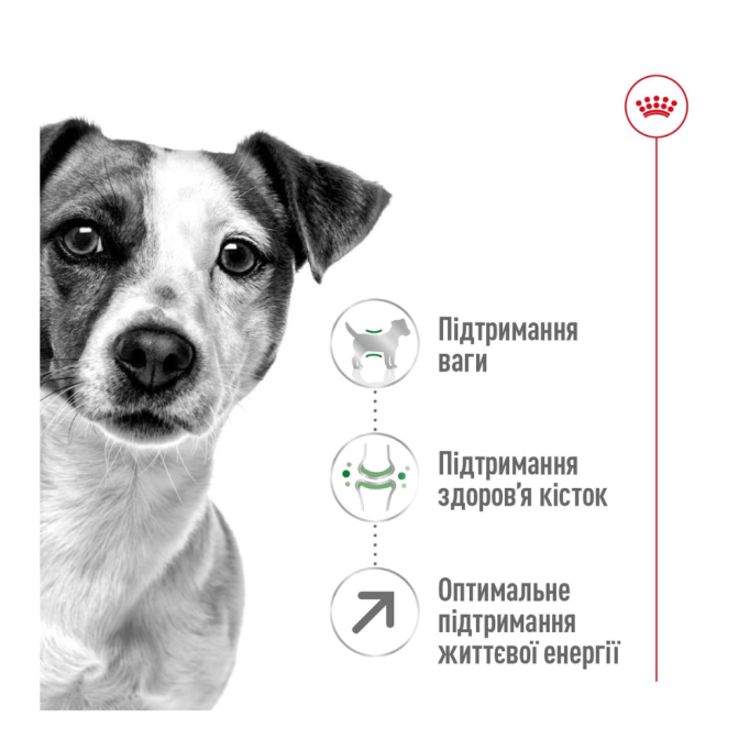 Royal Canin Mini Adult 8+ Сухий корм для зрілих собак малих порід (від 8 років) 800г