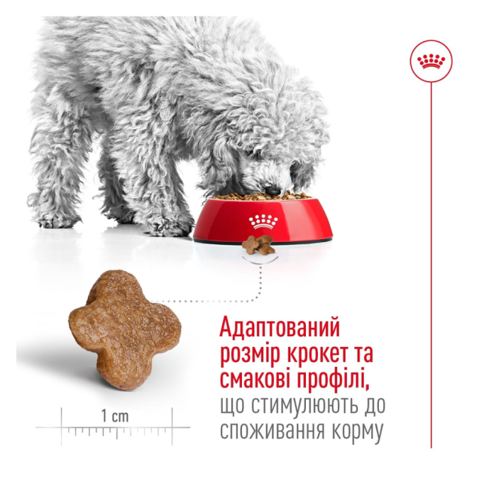 Royal Canin Mini Adult 8+ Сухий корм для зрілих собак малих порід (від 8 років) 800г