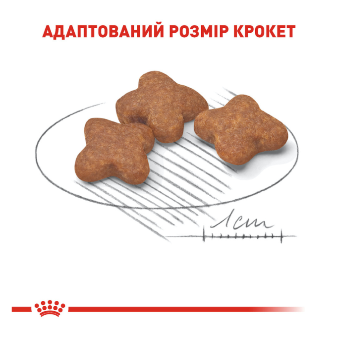Royal Canin Mini Adult 8+ Сухий корм для зрілих собак малих порід (від 8 років) 800г